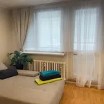 Marki * Малацки