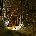 Marki Малацки